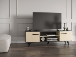 KENT - Meuble TV-Hifi 2 portes 2 niches 